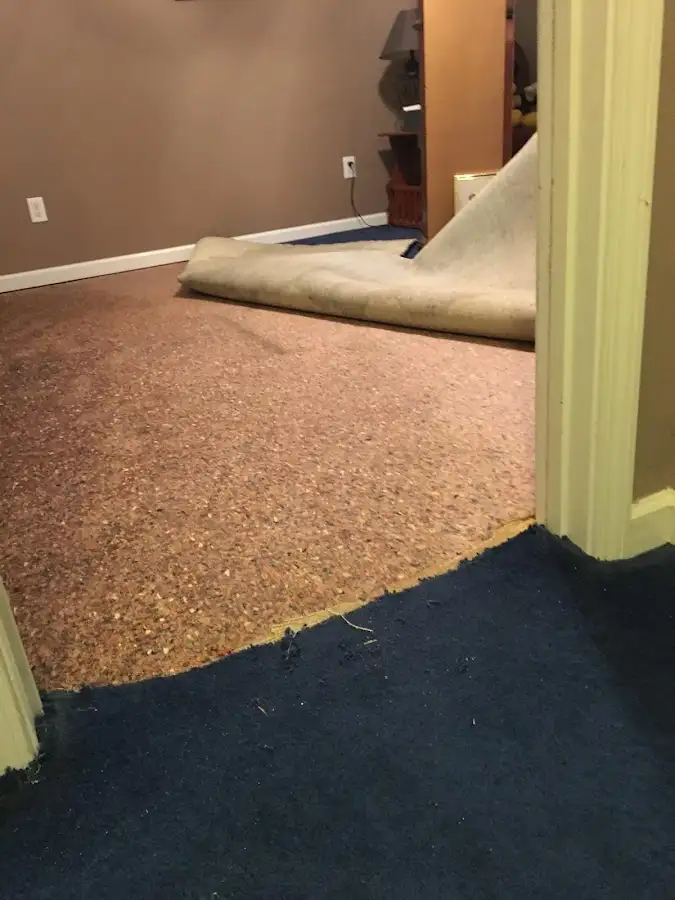 Carpet pad removal revealing water damage during Drying & Dehumidification in Collier