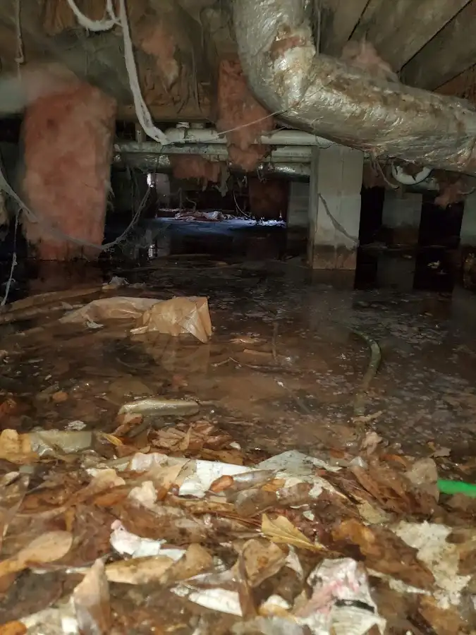 Crawl space flood assessment for Commercial Water Damage Restoration in Collier