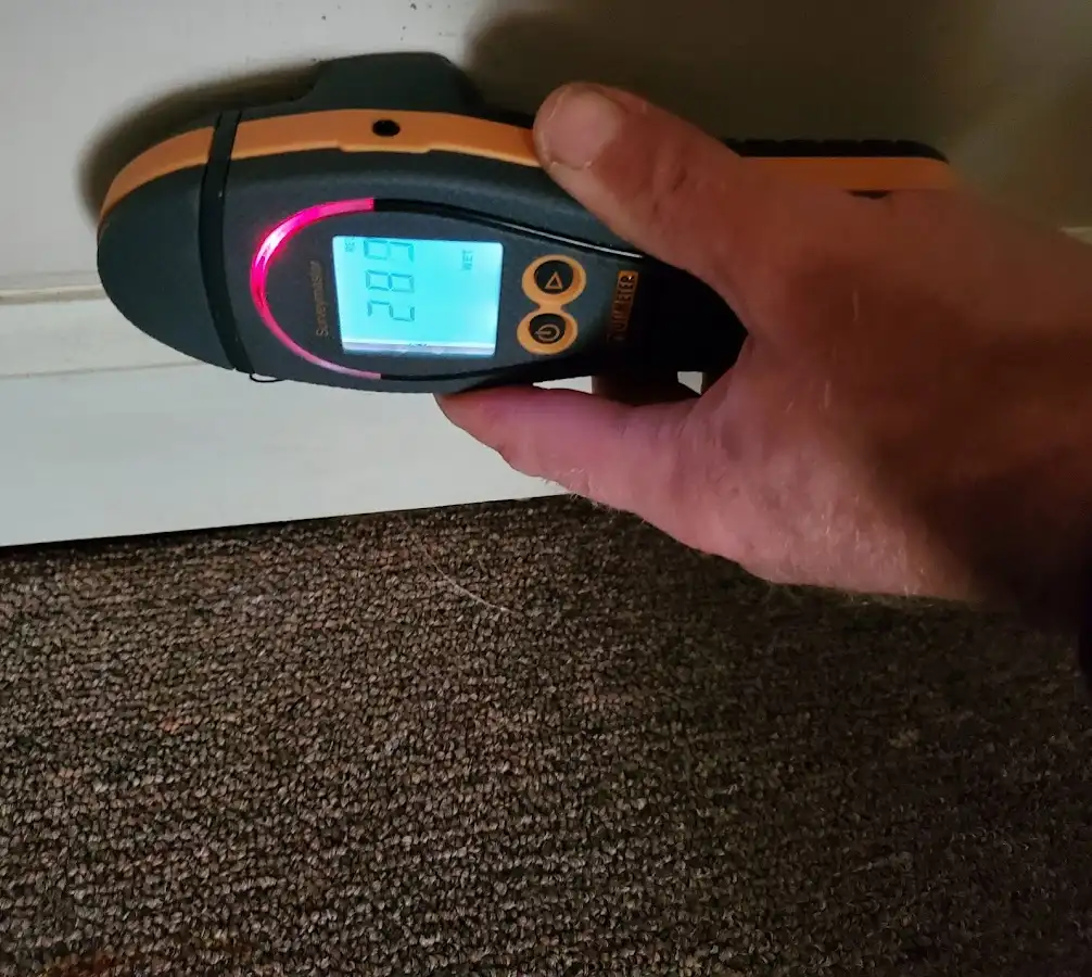 Moisture detection at baseboard during Storm Damage Restoration in Collier